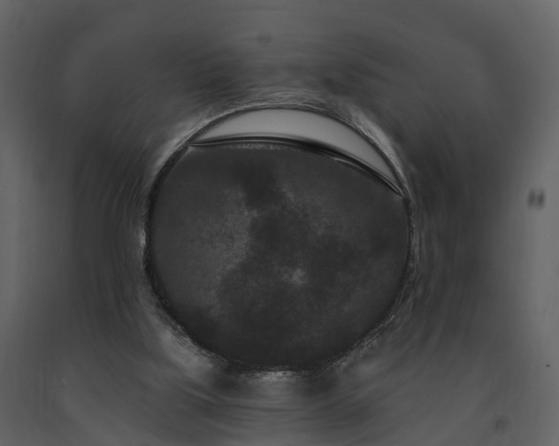 X0000091730059200708241423