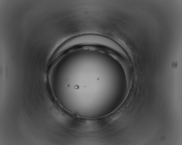 X0000091730060200708241423