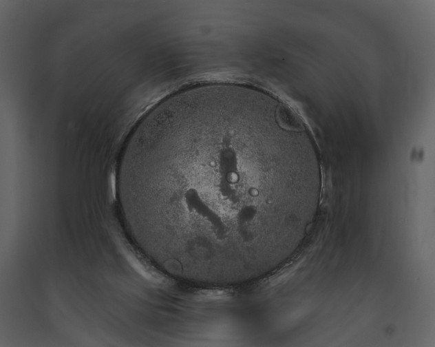X0000091730061200708241423
