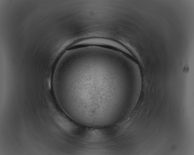 X0000091730062200708241423