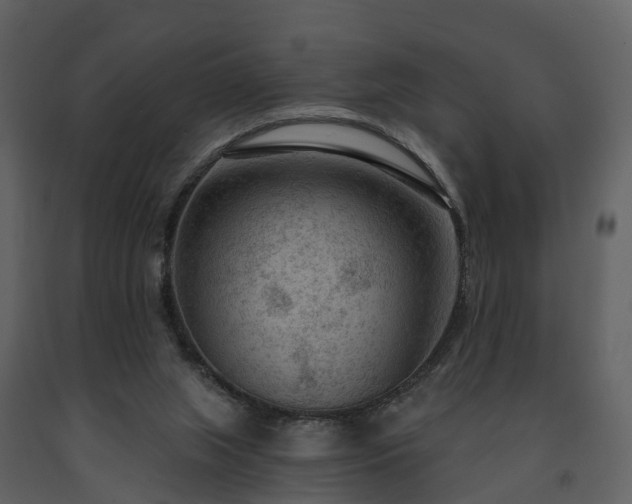 X0000091730063200708241423