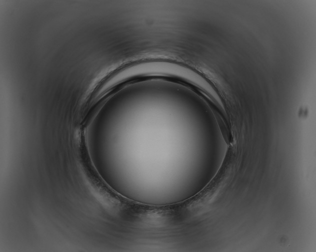 X0000091730064200708241423