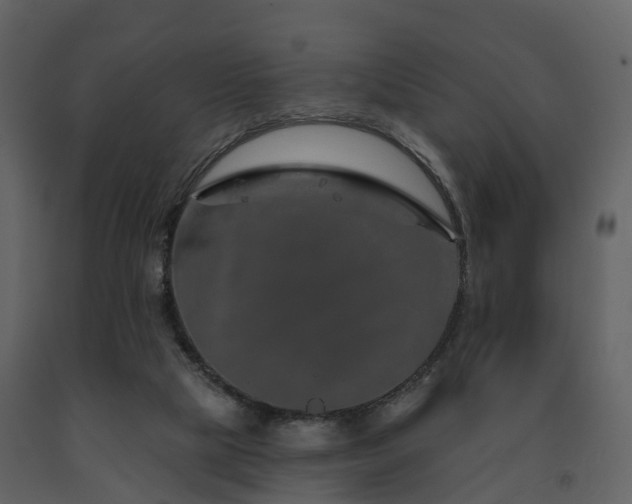 X0000091730065200708241423