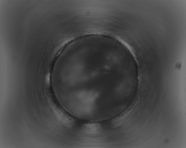 X0000091730067200708241423