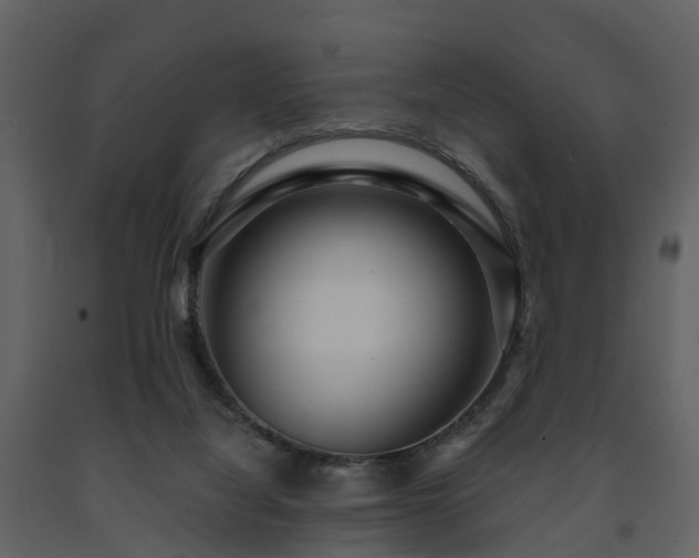 X0000091730068200708241423