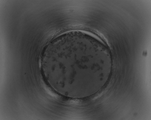 X0000091730069200708241423