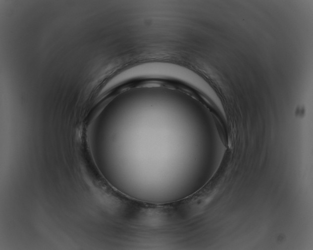 X0000091730072200708241423