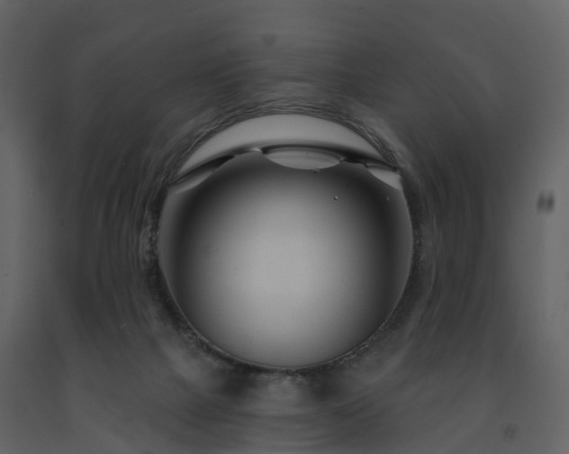 X0000091730073200708241423