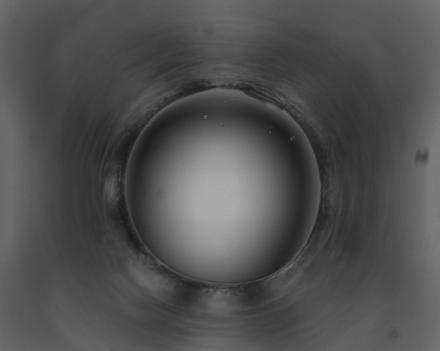 X0000091730074200708241423