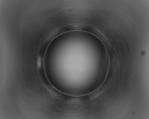 X0000091730075200708241423