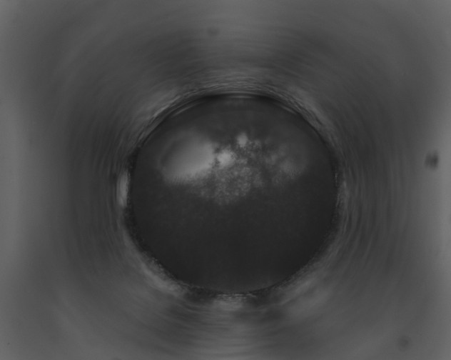X0000091730076200708241423