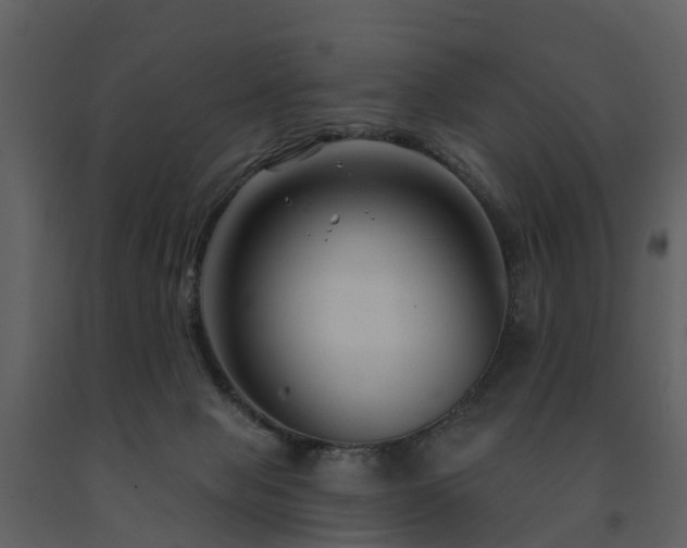 X0000091730077200708241423