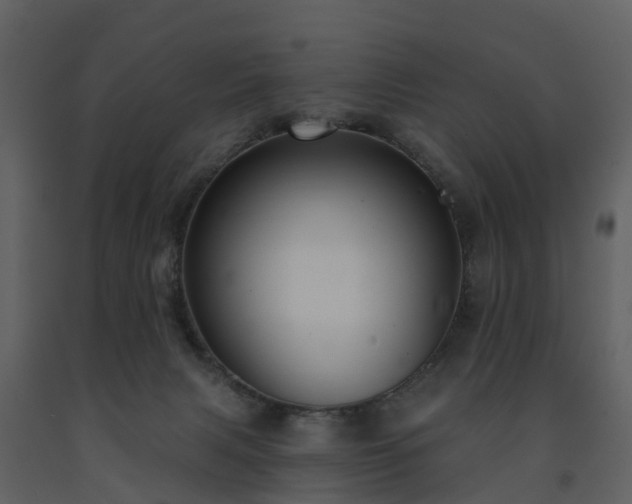 X0000091730079200708241423