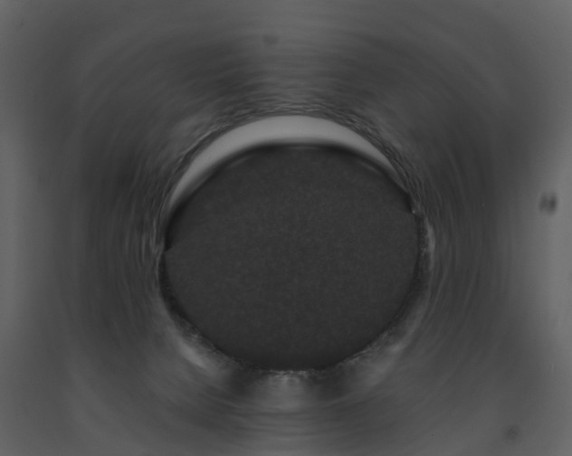 X0000091730080200708241423