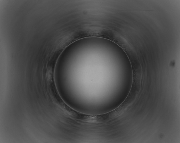 X0000091730083200708241423