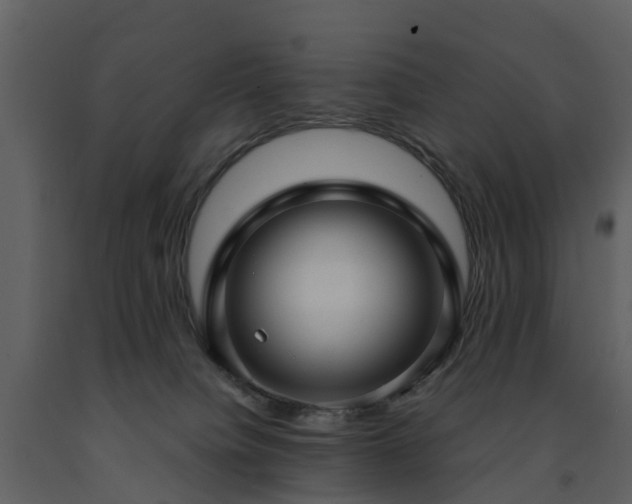 X0000091730084200708241423