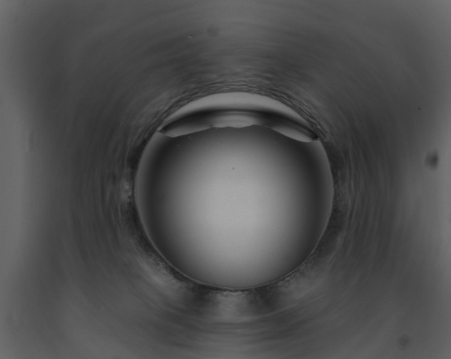 X0000091730085200708241423
