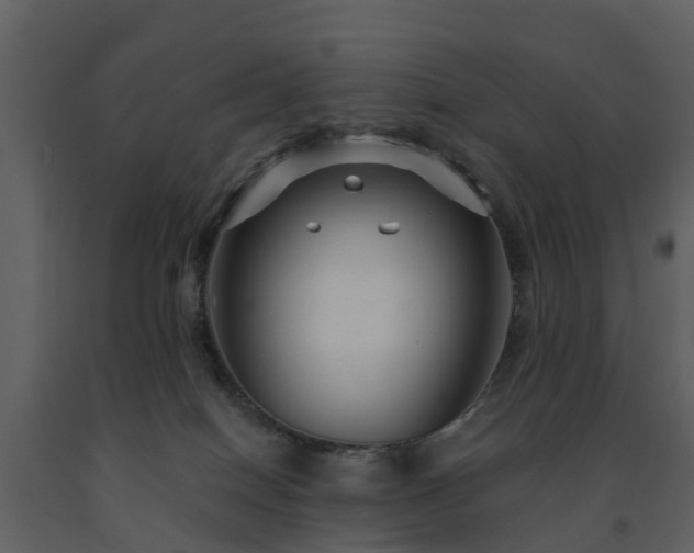 X0000091730086200708241423