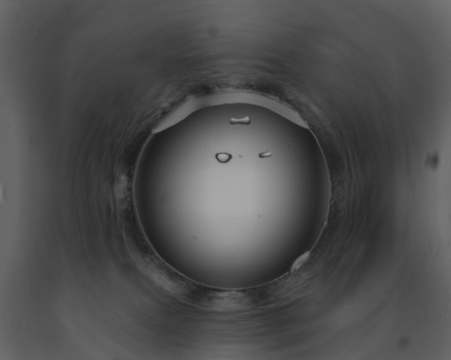 X0000091730087200708241423