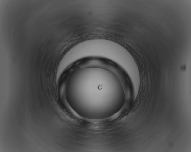 X0000091730088200708241423