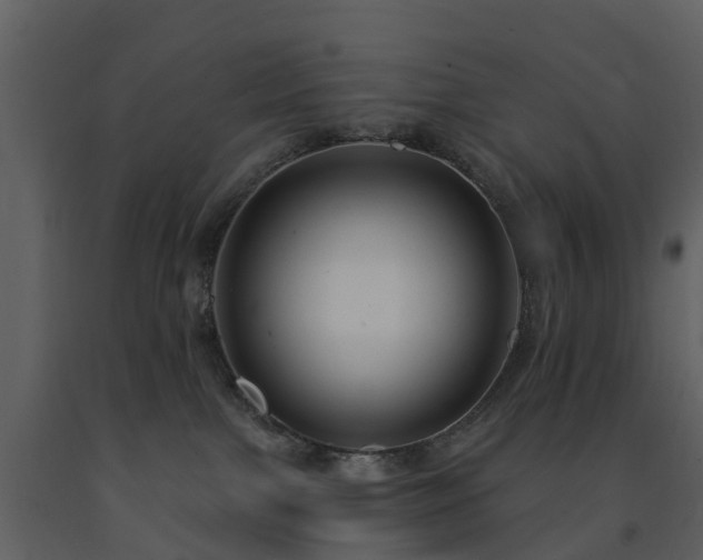 X0000091730091200708241423