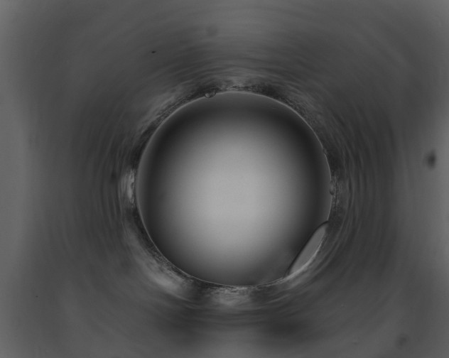 X0000091730094200708241423