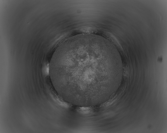 X0000091730095200708241423