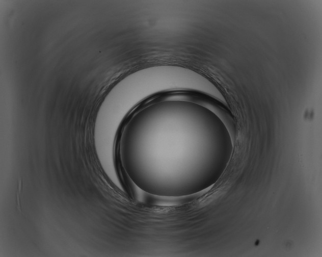 X0000091730096200708241423