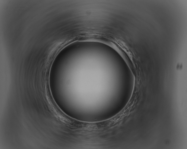 X0000091730097200708241423