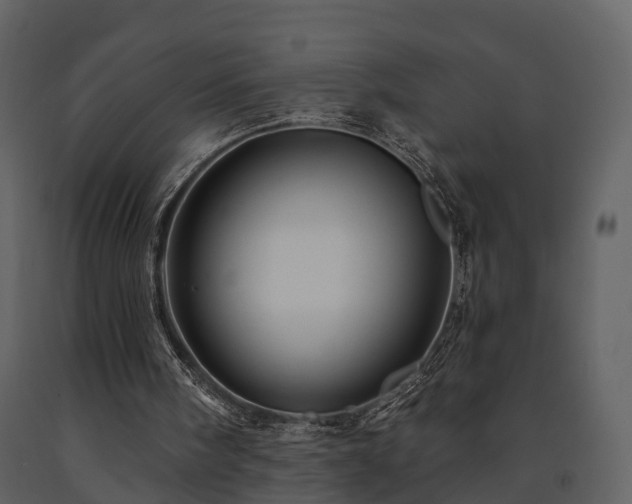 X0000091730098200708241422
