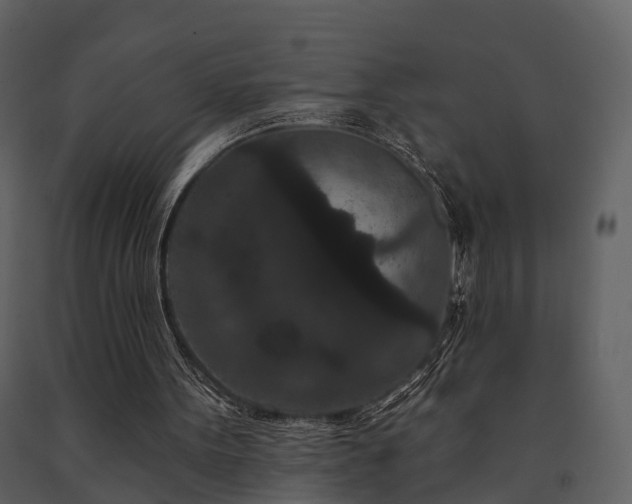 X0000091730099200708241422