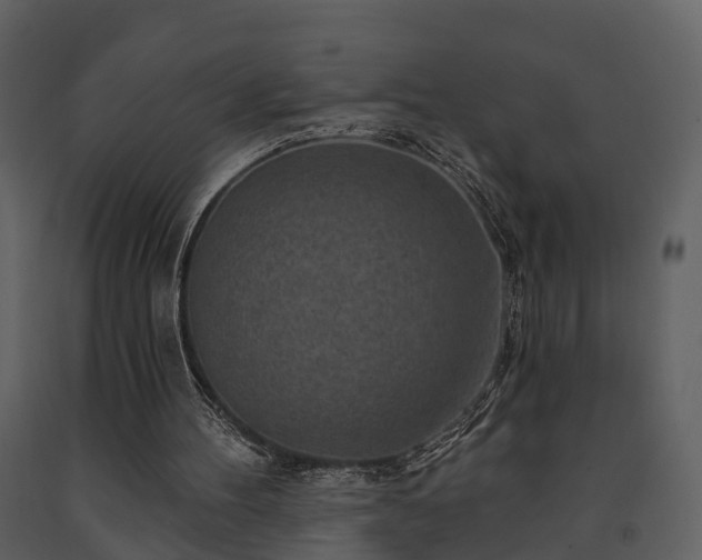 X0000091730100200708241422