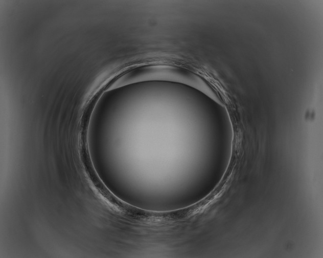 X0000091730101200708241422