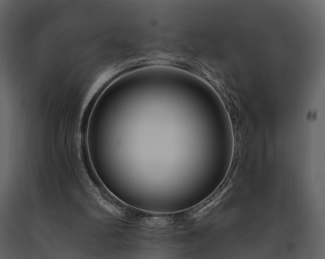 X0000091730102200708241422