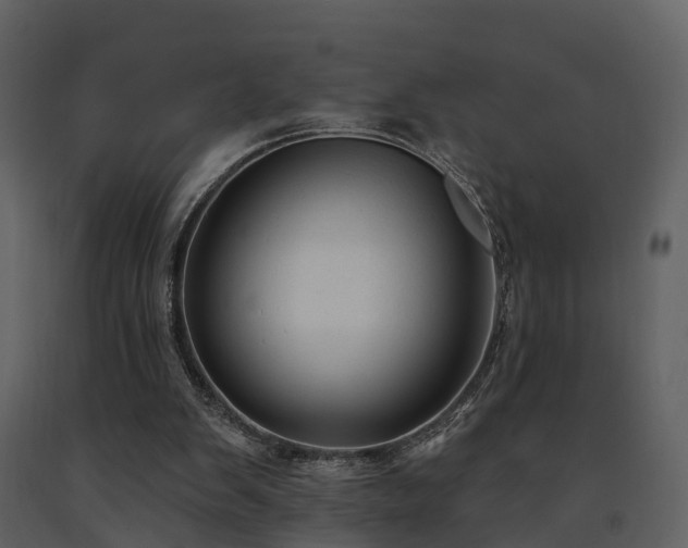 X0000091730103200708241422