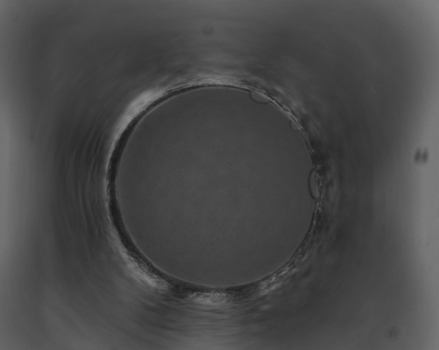X0000091730104200708241422