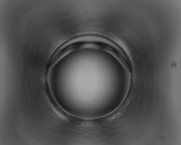 X0000091730105200708241422