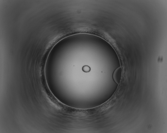 X0000091730106200708241422