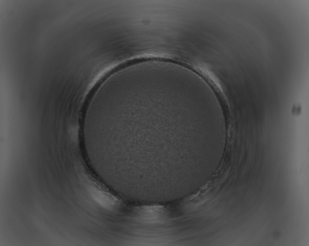 X0000091730108200708241422