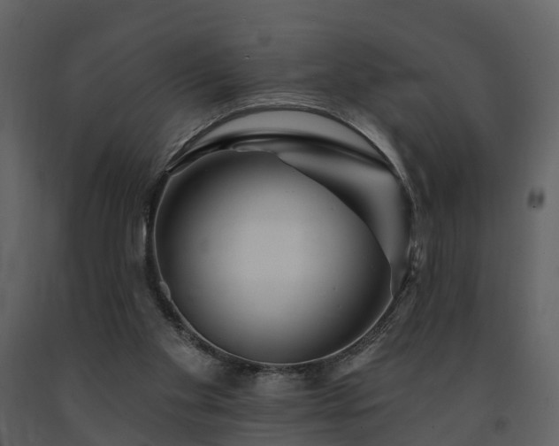 X0000091730109200708241422