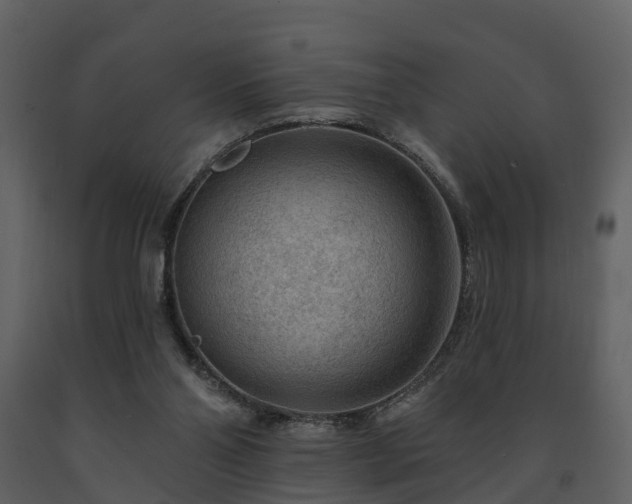X0000091730110200708241422