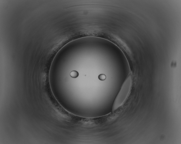 X0000091730113200708241422