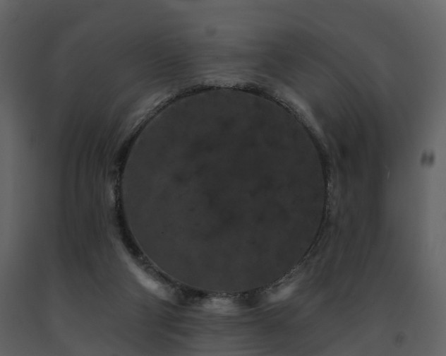 X0000091730114200708241422