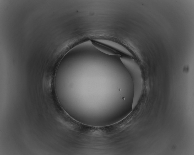 X0000091730115200708241422
