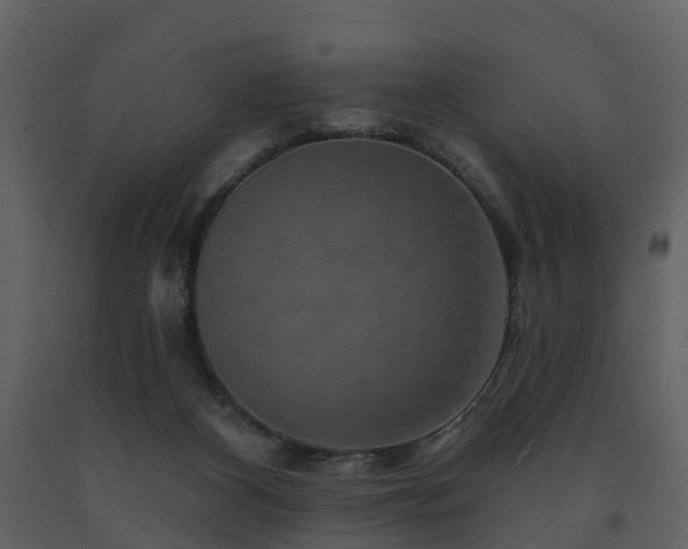 X0000091730116200708241422