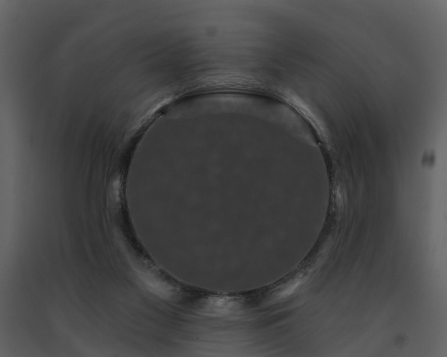X0000091730117200708241422