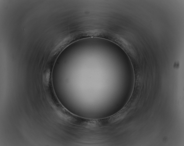 X0000091730118200708241422