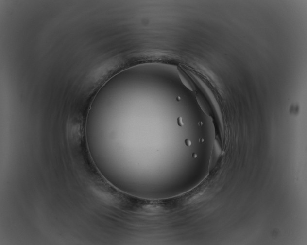 X0000091730119200708241422