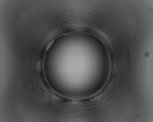 X0000091730121200708241422