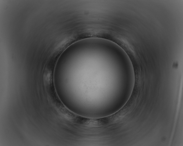 X0000091730123200708241422